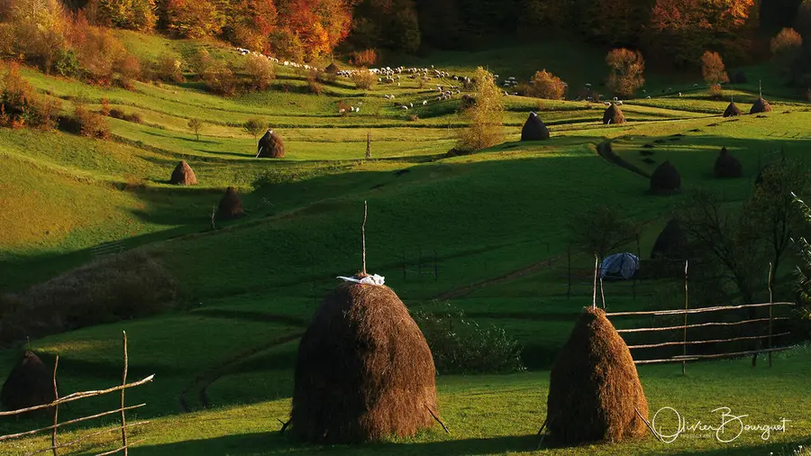 Meules de foin dans les prés en automne, Roumanie