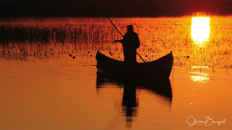 Pêcheur en barque au coucher du soleil, delta du Danube