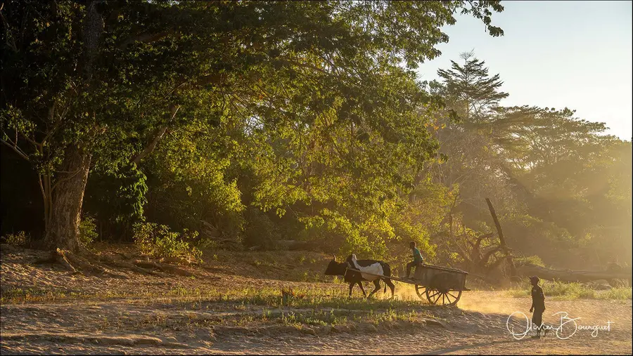 Madagascar nord & est : nord, activités, soleil, photo 118 d’Olivier Bourguet