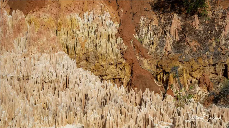 Madagascar nord & est : nord, nature, paysages, photo 192 d’Olivier Bourguet