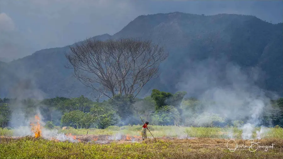 Madagascar nord & est : nord, activités, paysages, photo 224 d’Olivier Bourguet