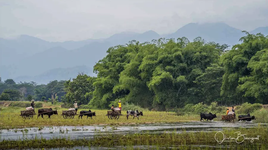 Madagascar nord & est : nord, activités, paysages, photo 225 d’Olivier Bourguet