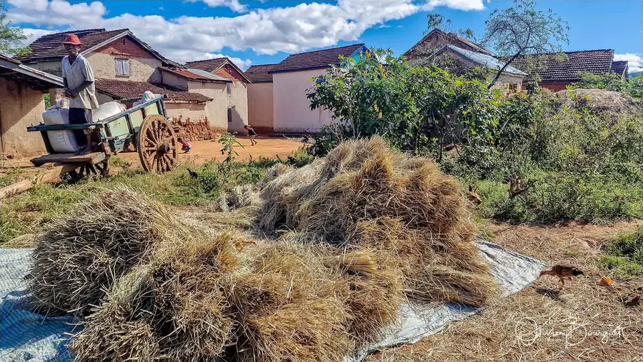 Madagascar sud 2025, au smartphone seulement : villes, activités, photo 11 d’Olivier Bourguet