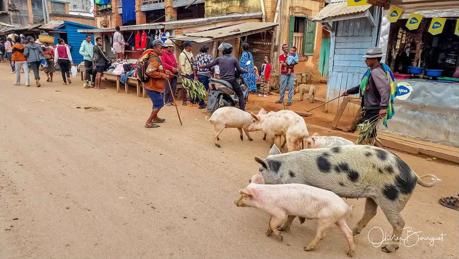 Madagascar sud 2025, au smartphone seulement : villes, activités, photo 20 d’Olivier Bourguet