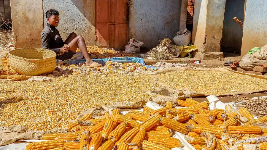 Madagascar sud 2025, au smartphone seulement : villes, activités, photo 6 d’Olivier Bourguet