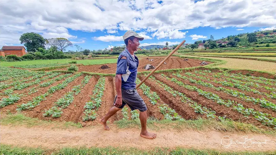 Madagascar sud 2025, au smartphone seulement : villes, activités, photo 8 d’Olivier Bourguet